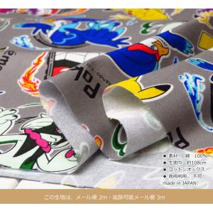 入園入学生地 コットンオックス≪ポケットモンス...の詳細画像3