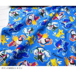 入園入学生地 コットンオックス≪ポケットモンス...の詳細画像5