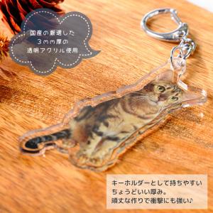 はいちーず 写真 キーホルダー アクリルスタン...の詳細画像5