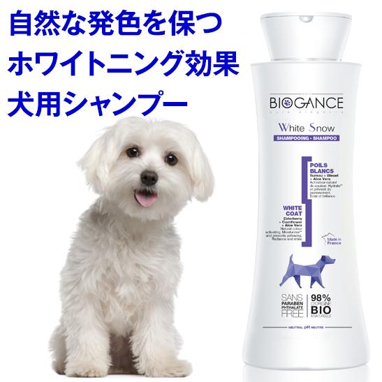 ワンランク上のライフスタイル 毛色に即したシャンプー　ホワイトスノーシャンプー 250ml (バイオ...