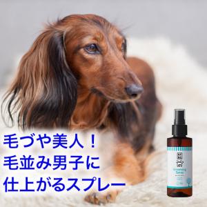 ワンランク上のライフスタイル 愛犬とのスキンシップをより滑らかに　ブラッシングスプレー 125ml 毛づや美人、毛並み男子に仕上がるスプレー！体臭対策も！｜pet-and-pet