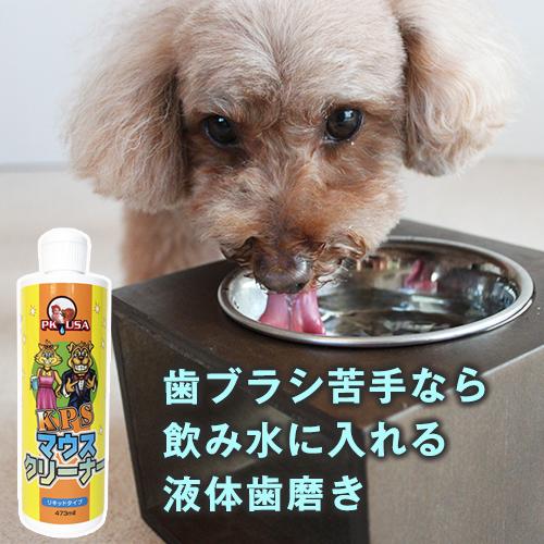 歯ブラシが苦手なら飲み水に入れてデンタルケア　マウスクリーナー 473ml　お得なサイズ 小型犬や猫...