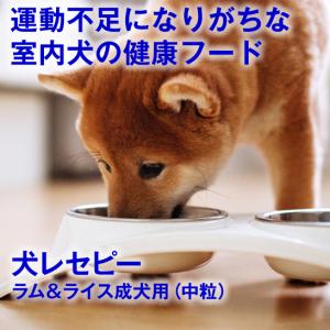 健康を考えたフード　ホリスティックレセピー 成犬用 ラム＆ライス (中粒) 2.4kg 低カロリー 低脂肪 グルコサミン コンドロイチン アレルギー 去勢 避妊｜pet-and-pet