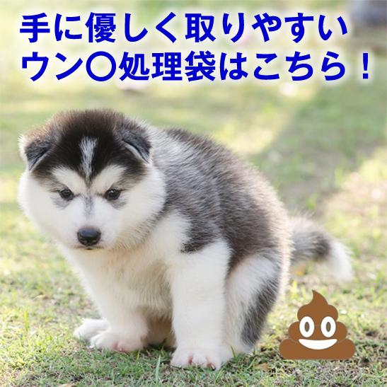 ストックが無くなる前に スピード配送 散歩応援グッズ　 ポイ太くん 100枚入　手を汚さない ウンチ...