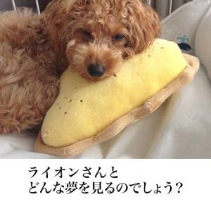 リス ぬいぐるみ 犬用おもちゃ の商品一覧 犬用品 ペット用品 生き物 通販 Yahoo ショッピング