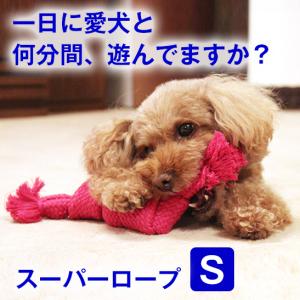 愛犬の喜ぶ顔が見たいなら　スーパーロープ Sサイズ ( 犬 おもちゃ オモチャ 玩具 紐 鳴り笛 小型犬 中型犬 歯磨き ハミガキ デンタルケア 口臭 歯垢 歯石 噛む｜pet-and-pet