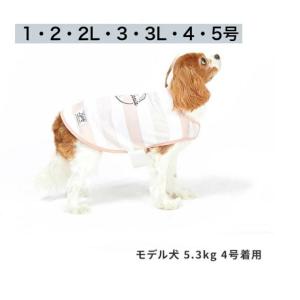 犬服　LIFELIKE　COOLボーダーポンチョ　101s12　１号〜5号　ライフライク　ドッグウェア　冷感　大型犬用｜pet-chouchou