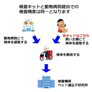 【自宅で遺伝子検査・郵送型】小鳥の遺伝子検査キ...の詳細画像4