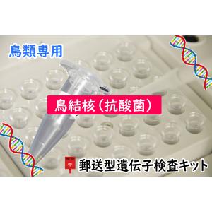 同梱不可 【自宅で遺伝子検査・郵送型】小鳥の遺伝子検査キット