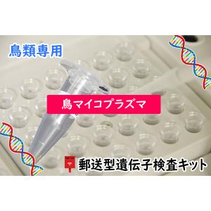 自宅で遺伝子検査・郵送型】小鳥の遺伝子検査キット 鳥ボルナウイルス