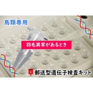 【郵送型遺伝子検査】鳥の遺伝子検査キット 　対象<<パネル型　羽毛異常タイプ>>　｜　インコ、オウム、フィンチ等｜pet-dna