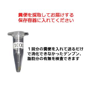 インコ、オウムの 糞便 消化機能の検査キット(...の詳細画像2