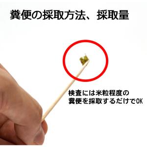 インコ、オウムの 糞便 消化機能の検査キット(...の詳細画像3