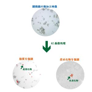 インコ、オウムの 糞便 消化機能の検査キット(...の詳細画像5