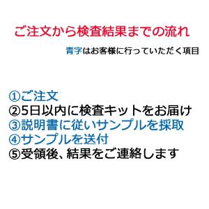【ペット用遺伝子検査】犬猫の遺伝子検査キット ...の詳細画像3