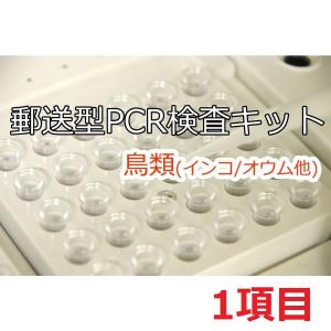 【PCR法遺伝子検査】小鳥の遺伝子検査キット　1種類検査｜pet-dna