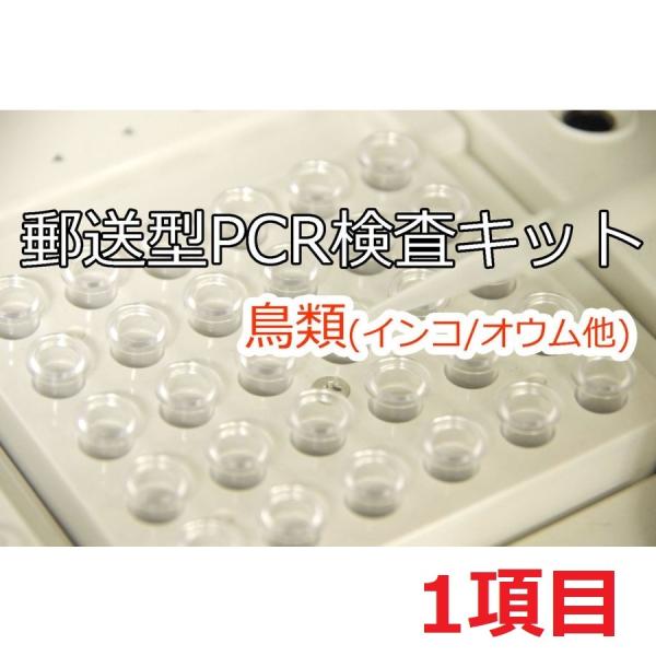 【PCR法遺伝子検査】小鳥の遺伝子検査キット　1種類検査