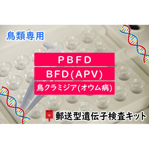 【自宅で遺伝子検査・郵送型】小鳥の遺伝子検査キット　BFD[APV] + PBFD + 鳥クラミジア...