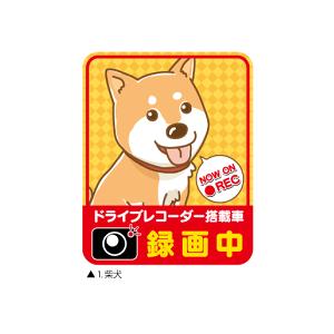 「うちの子」ドラレコマグ１　柴犬の商品画像