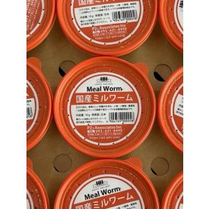 生餌 国産 ミルワーム 1カップ 10g 200尾 和鳥 野鳥 小動物 爬虫類 観賞魚
