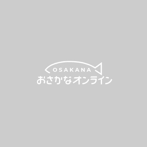 「熱帯魚」トリニダートプレコ（ブリード）（M)中国便「淡水魚」「観賞魚」アクアリウム