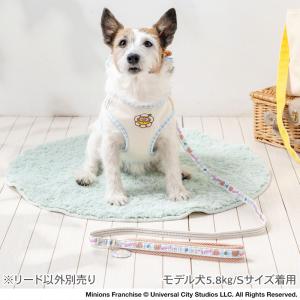 ミニオン ティム 犬 リード お花柄リード 小...の詳細画像1