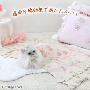 ディズニー マリー 猫 遠赤外線 フリル ブラ...の詳細画像1