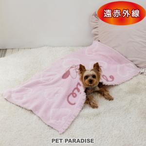 PET PARADISE（ペットパラダイス） 爆買SALE 犬 冬用 くまちゃん 織り