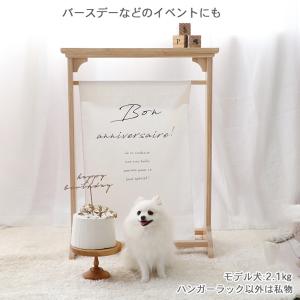 爆買SALE 犬 ハンガーラック 〔小型犬〕 ...の詳細画像2