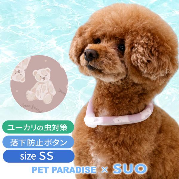 犬 クールリング 28℃ クールリング SUO 2025年モデル 小型犬 くま ＳＳ | 猛暑対策 ...
