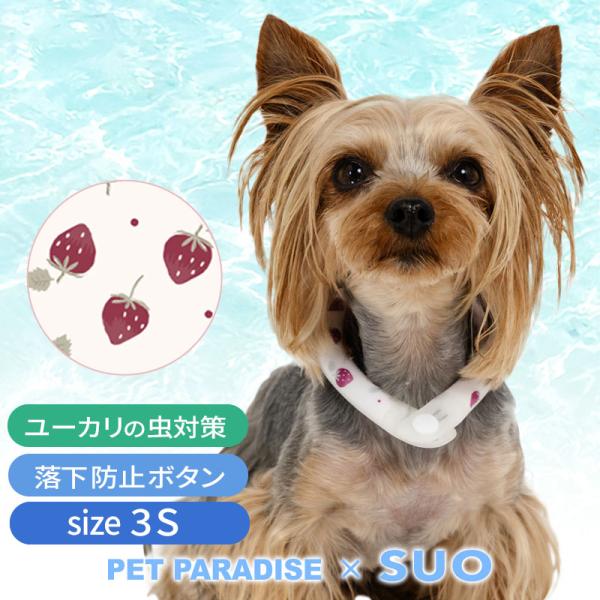 犬 クールリング 28℃ クールリング SUO 2025年モデル 小型犬 苺 ３Ｓ | 猛暑対策 ク...