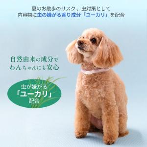 サマーセール クールリング 28℃ クールリン...の詳細画像2