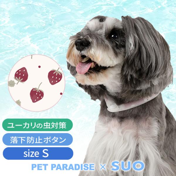 犬 クールリング 28℃ クールリング SUO 2025年モデル 小型犬 苺 Ｓ | 猛暑対策 クー...