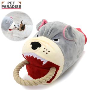 アイコナ aikona 犬用 サプリメント 60g 腸活 ケア 愛犬 : Select Shop