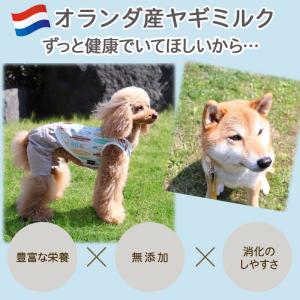 ヤギミルク 無添加 オランダ産 ヤギミルク 9...の詳細画像1