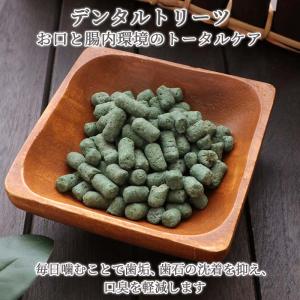 ポイント5倍 犬 歯磨き おやつ デンタル 国...の詳細画像3