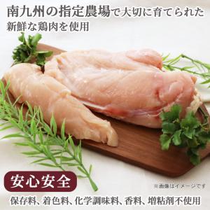 ペット おやつ ペースト ピューレ ジュレ 犬...の詳細画像2