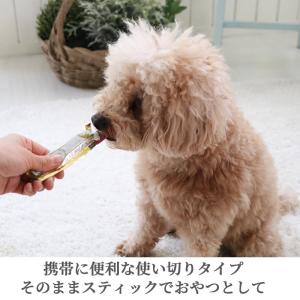 ペット おやつ ペースト ピューレ ジュレ 犬...の詳細画像4