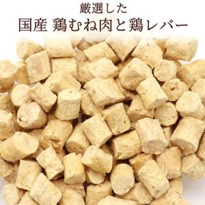 犬 猫 おやつ 国産 無添加 愛犬 サクサク ...の詳細画像2