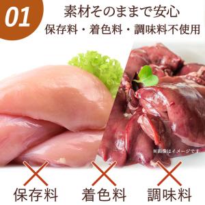 犬 猫 おやつ 国産 無添加 愛犬 サクサク ...の詳細画像4
