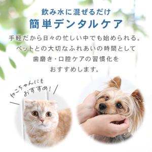 犬 猫 歯磨き粉 歯磨き スプレー ペット用 ...の詳細画像2