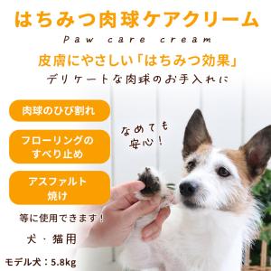 肉球クリーム 肉球 犬 猫 保湿 ケア用品 肉...の詳細画像1
