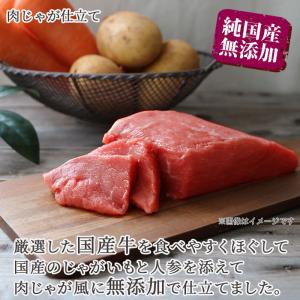 ドッグフード 犬 缶詰 ウェットフード 無添加...の詳細画像3