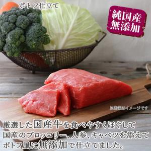 ドッグフード 犬 缶詰 ウェットフード 無添加...の詳細画像5