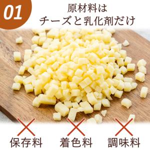 犬 猫 おやつ 国産 小粒 ごほうび チーズ ...の詳細画像4