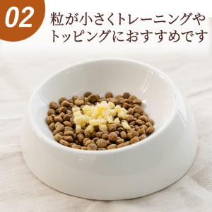犬 猫 おやつ 国産 小粒 ごほうび チーズ ...の詳細画像5