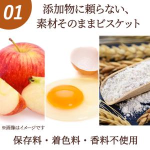 犬 おやつ 国産 愛犬用 りんご ビスケット ...の詳細画像4