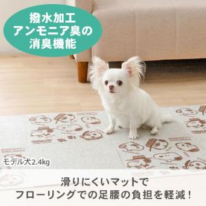 犬 マット スヌーピー マルチケアマット 8枚...の詳細画像1