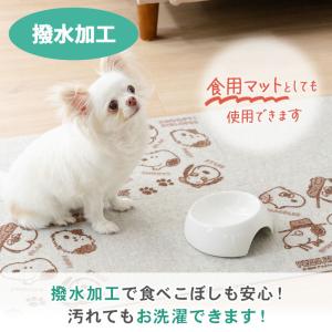 犬 マット スヌーピー マルチケアマット 8枚...の詳細画像4