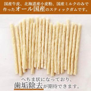 犬 デンタルケア おやつ 国産 愛犬用 牛皮ミ...の詳細画像1